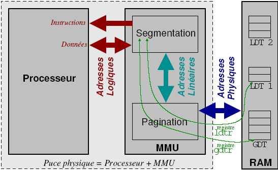 Mecanisme de la segmentation