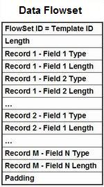 Data Flowset