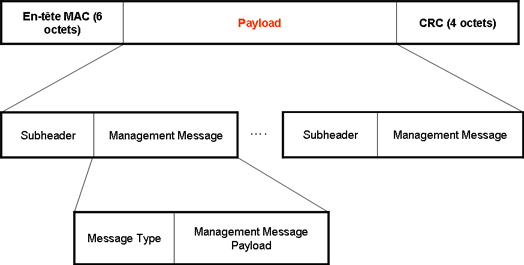 Le payload