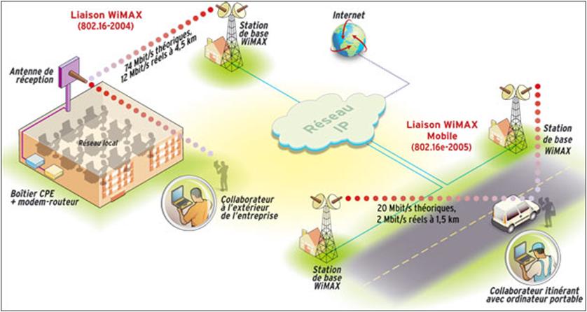 Les différentes structures du Wimax