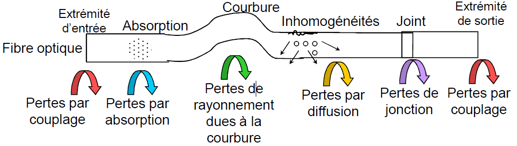 Bilan des pertes au sein d'une fibre
