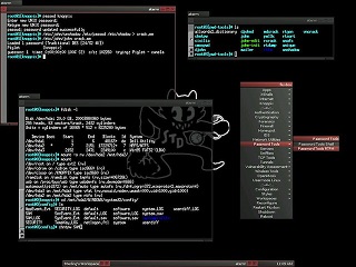Hackers_and_losses