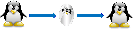 Illustration de la compression sans perte
